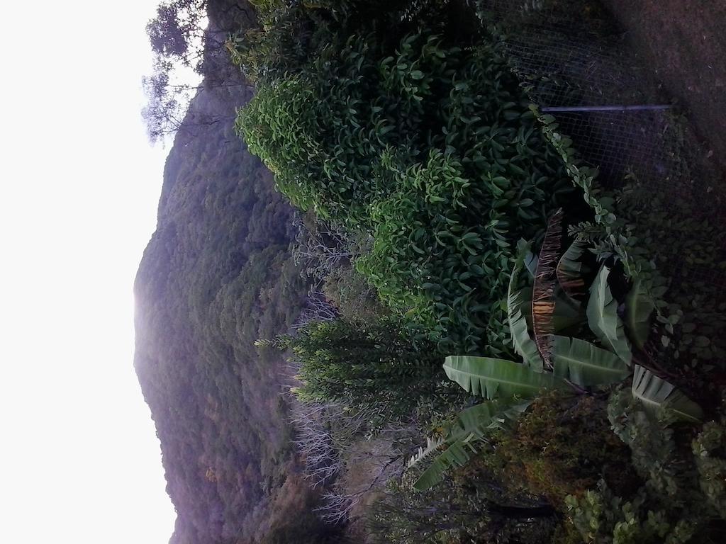 Top Ranking Hill View Guesthouse Speyside Bagian luar foto
