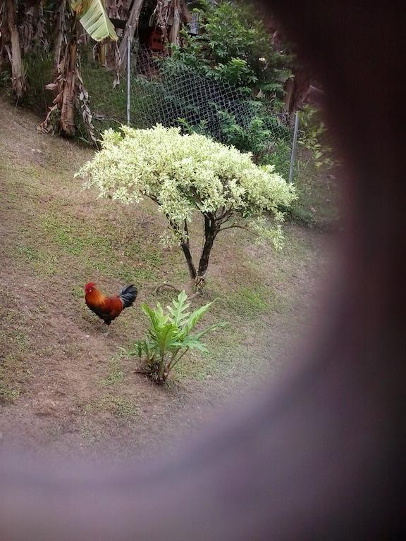 Top Ranking Hill View Guesthouse Speyside Bagian luar foto